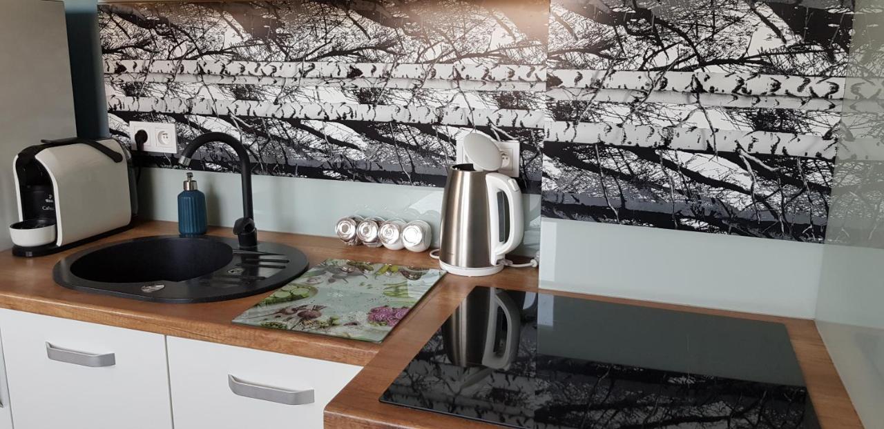 Apartament Centrum Częstochowa Kültér fotó
