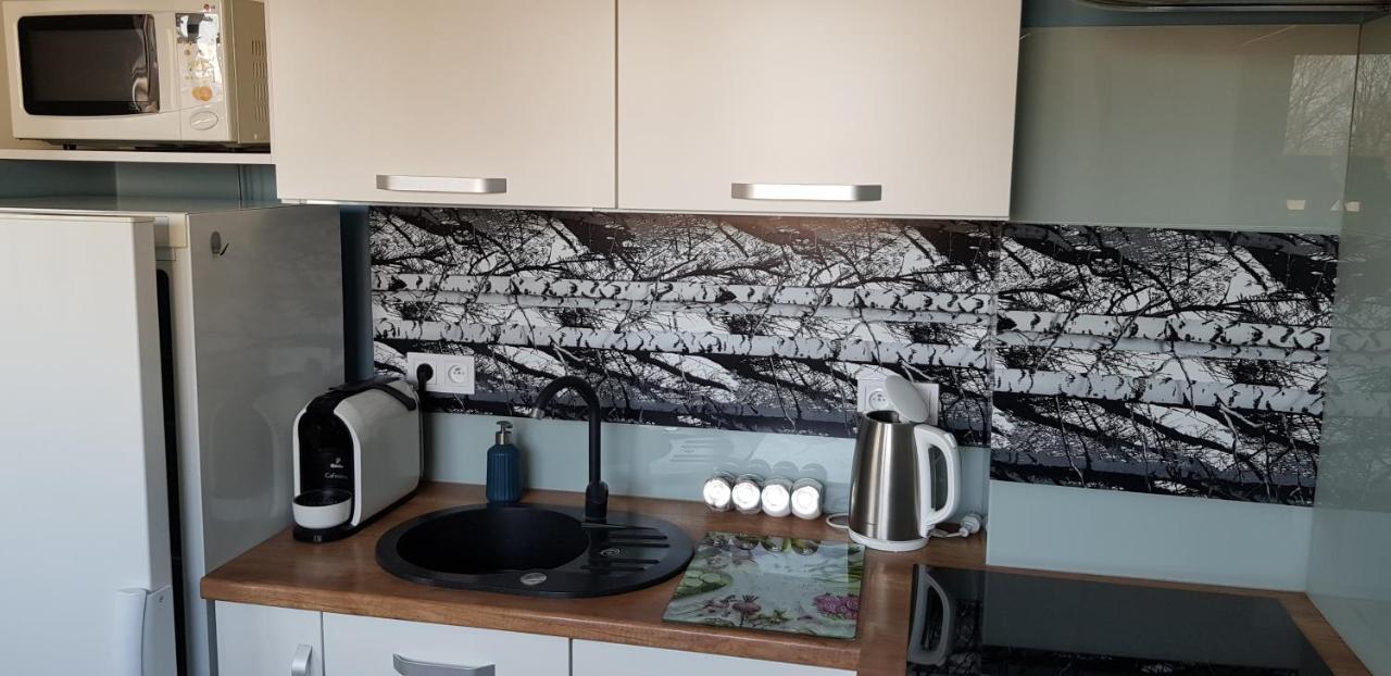 Apartament Centrum Częstochowa Kültér fotó
